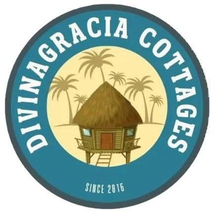 Divinagracia Cottages San Vicente  Exterior photo